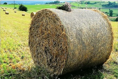 Kvalitný AGRO sortiment tvorí sezónnu ponuku pre poľnohospodárov.