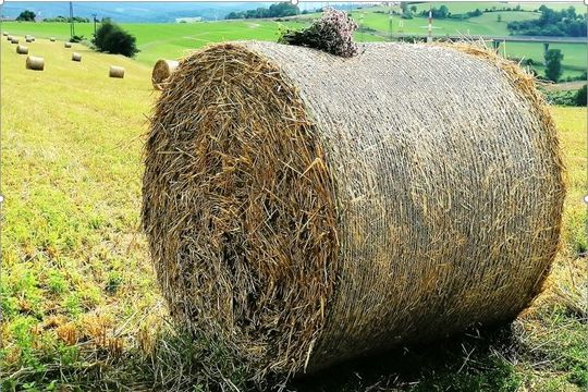 Kvalitný AGRO sortiment tvorí sezónnu ponuku pre poľnohospodárov.